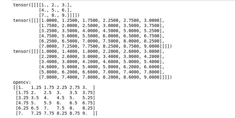 torch-nn-functional-interpolate